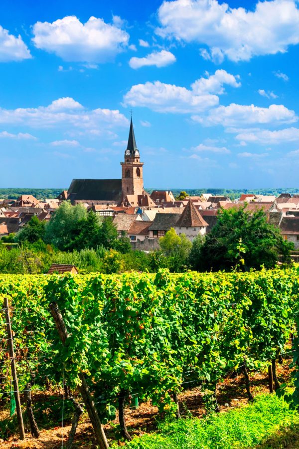 alsace-region-of-france-famous-wine-region-scenic-villages-with-vineyards